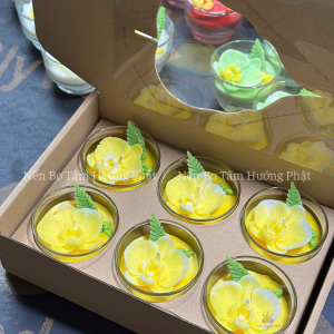 Hộp 6 Cốc Nến Hoa Lan Hồ Điệp